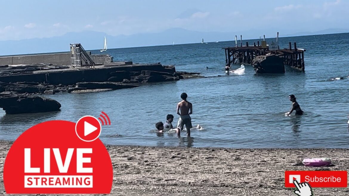 Relaxation at Kamehame beach at Misaki Japan 9-17-2023#happy #satisfyingvideo #trending Relaxation at Kamehame beach at Misaki Japan 9-17-2023#happy #satisfyingvideo #trending