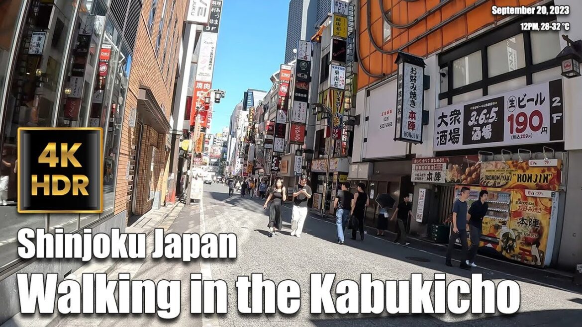 Japan Walking Tour - Walking in the Kabukicho, Japan (Music for relaxation) ASMR [4K 60fps]