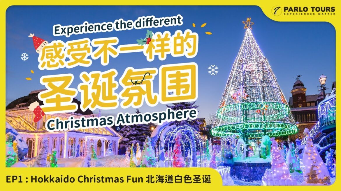 日本北海道圣诞节旅游攻略 小樽 札幌 白色恋人... Christmas travel tips in Hokkaido, Japan!