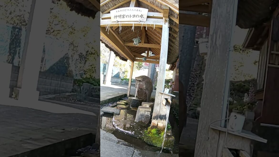 【Genuine spring water】Shinmei-guu Toyo-no-mizu at Fukaura, Aomori Japan;⁠) NOT suitable for drink
