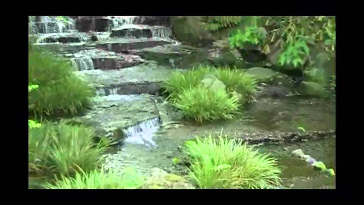 Kyoto tour Japan  2012 part2