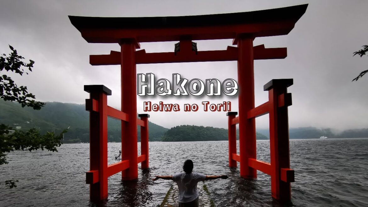 HAKONE ONE DAY TRIP, HEIWA NO TORII, HAKONE SHRINE AND ROMANCE CAR BACK TO TOKYO, SHINJUKU.