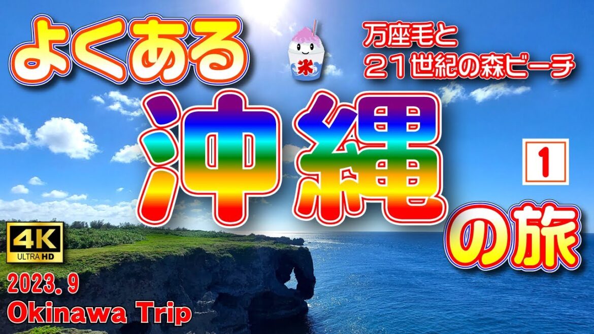 sub) 4K【沖縄旅行】まだまだ終わらない夏の沖縄🌞3泊4日の旅①（1日目）万座毛でパオーン🐘＆21世紀の森ビーチを夕暮れ散歩🌅【沖縄観光】　Vol.60