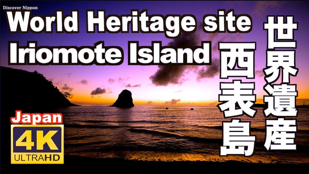 4K 西表島 世界自然遺産 Iriomote Island カヌー 観光 旅行 沖縄 海 Okinawa jungle Natural sound 夕景 秘境 八重山諸島 マングローブ 風景 4K 西表島 世界自然遺産 Iriomote Island カヌー 観光 旅行 沖縄 海 Okinawa jungle Natural sound 夕景 秘境 八重山諸島 マングローブ 風景
