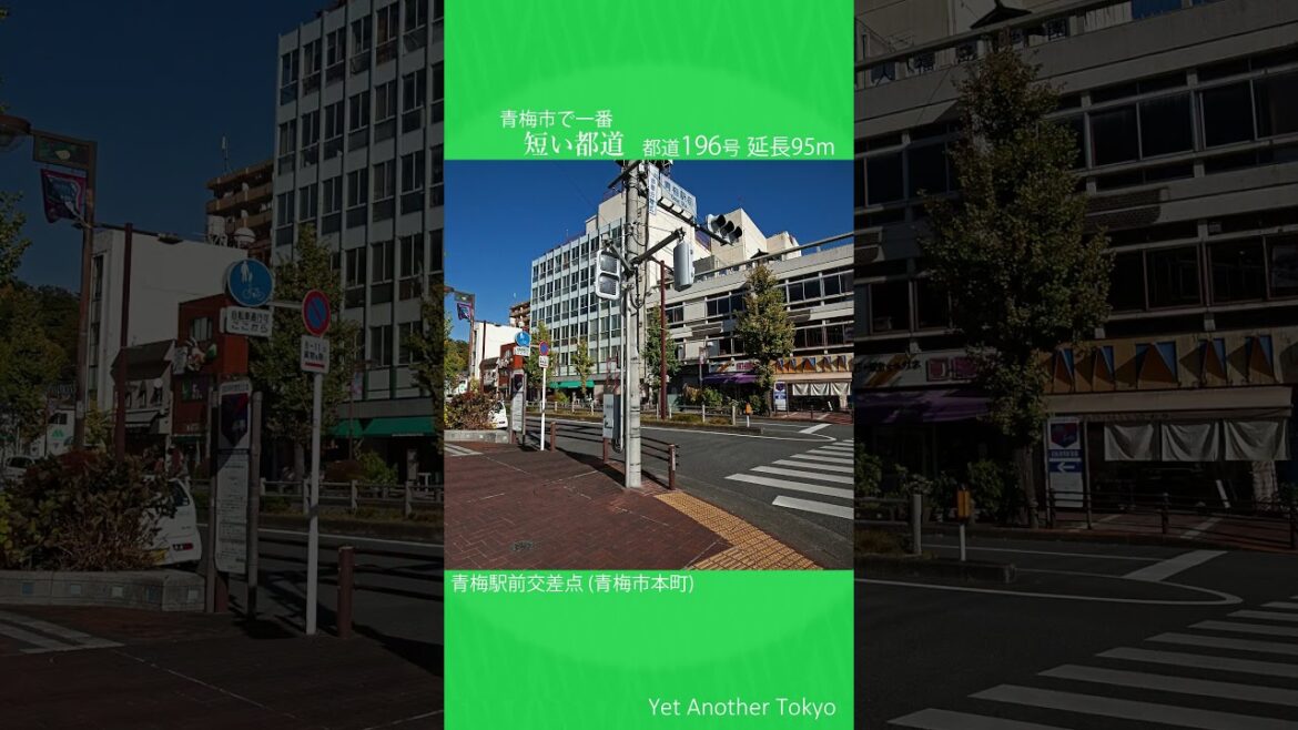 青梅市にある延長95ｍの極短都道 #青梅市 #青梅街道 #青梅線
