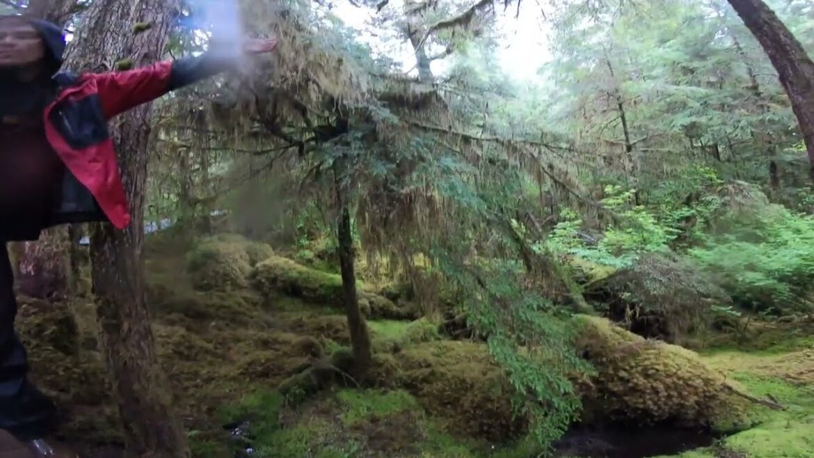 Places that don’t feel real in Pakistan 2023 #travel #explore #adventure #nature 2023 Places that don’t feel real in Pakistan 2023 #travel #explore #adventure #nature 2023