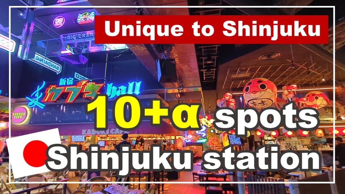 【Japan Vlog】 Unique to Shinjuku  10+α Spots  (Tokyo Travel)  ; Shinjuku Kabukicho, Shinjuku gyoen