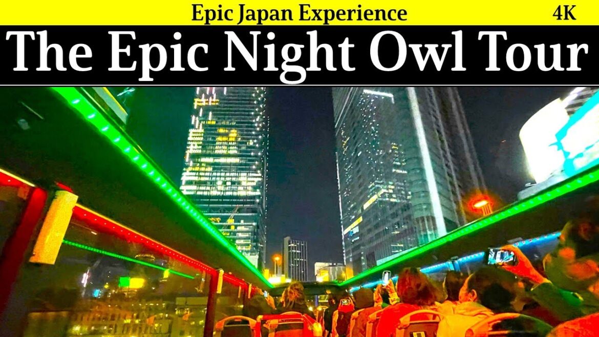 4K Japan travel: Epic Night Owl Tour in Tokyo 4K Japan travel: Epic Night Owl Tour in Tokyo