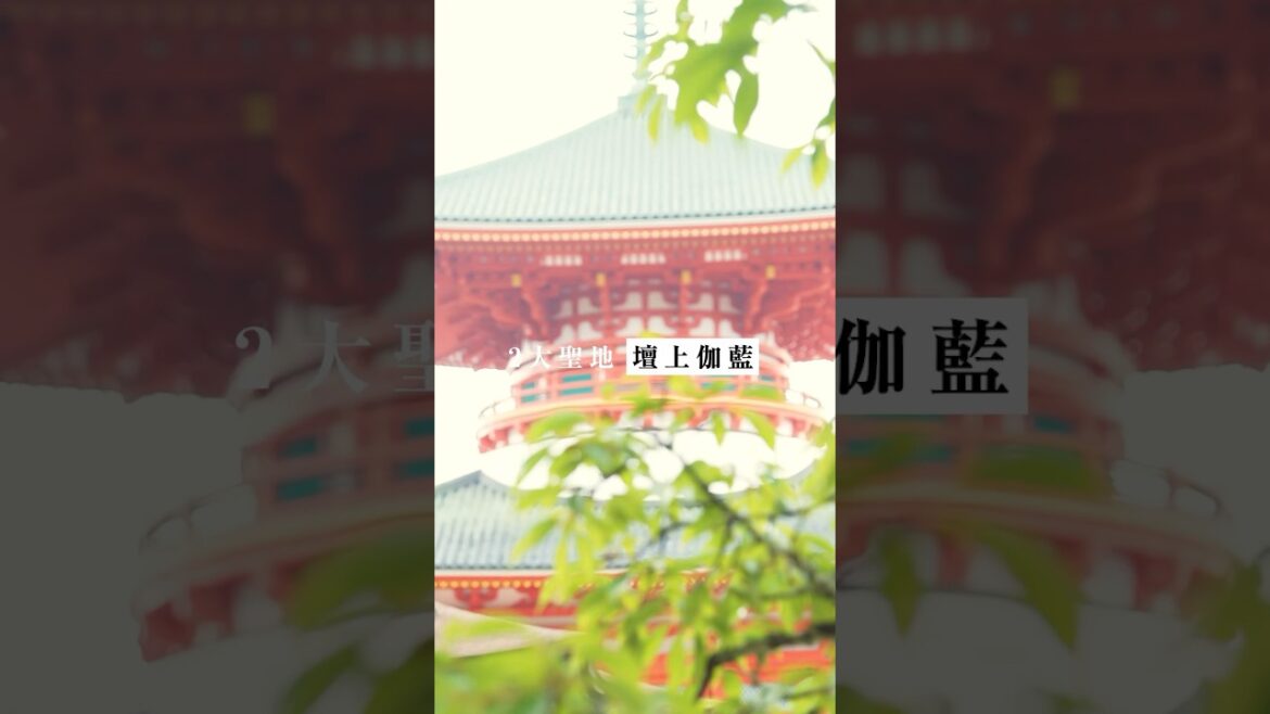 【高野山観光】人生で一度は行くべき和歌山が誇る世界遺産 #Shorts #金剛峯寺 #壇上伽藍 #奥之院 #宿坊
