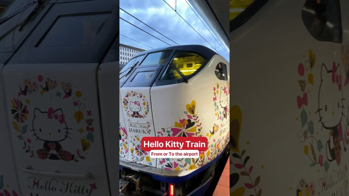 🎀CUTEST train in Japan🎀 #japantravel #japanthings #travel #hellokitty