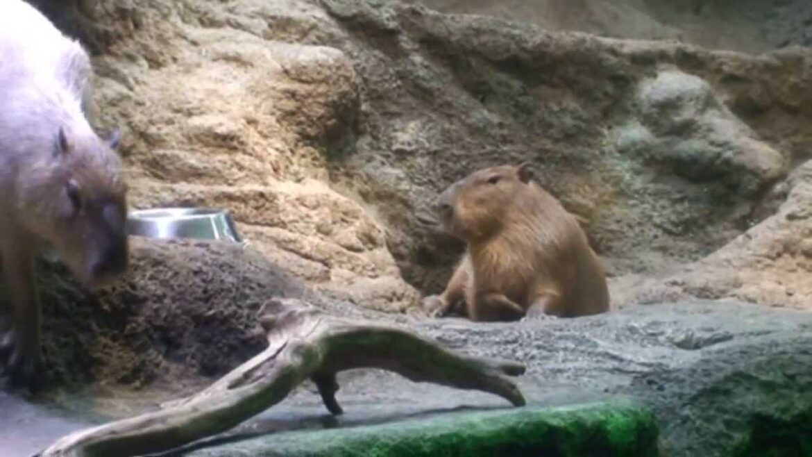 Japan Trip Part 1 - Osaka