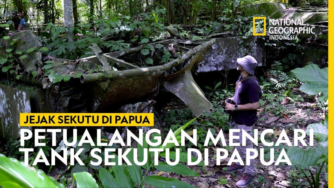 Jejak Sejarah : Tank Sekutu yang Ditemukan di Tengah Hutan Tambrauw – National Geographic Indonesia Jejak Sejarah : Tank Sekutu yang Ditemukan di Tengah Hutan Tambrauw - National Geographic Indonesia