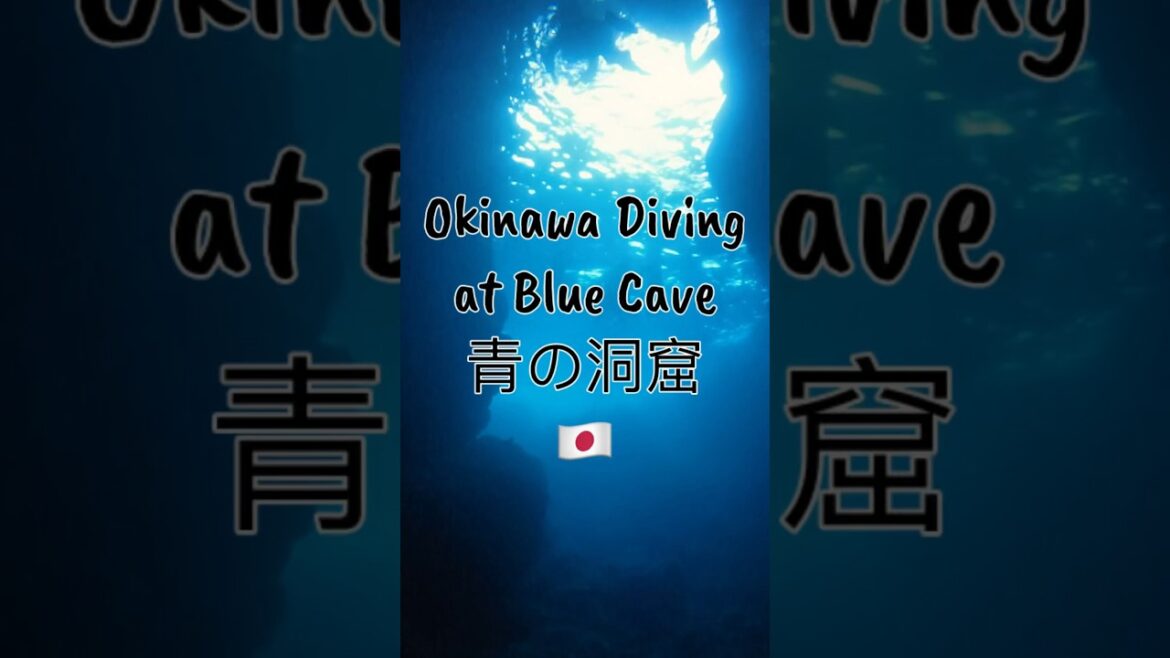 Okinawa Diving at Blue Cave (青の洞窟) 🇯🇵