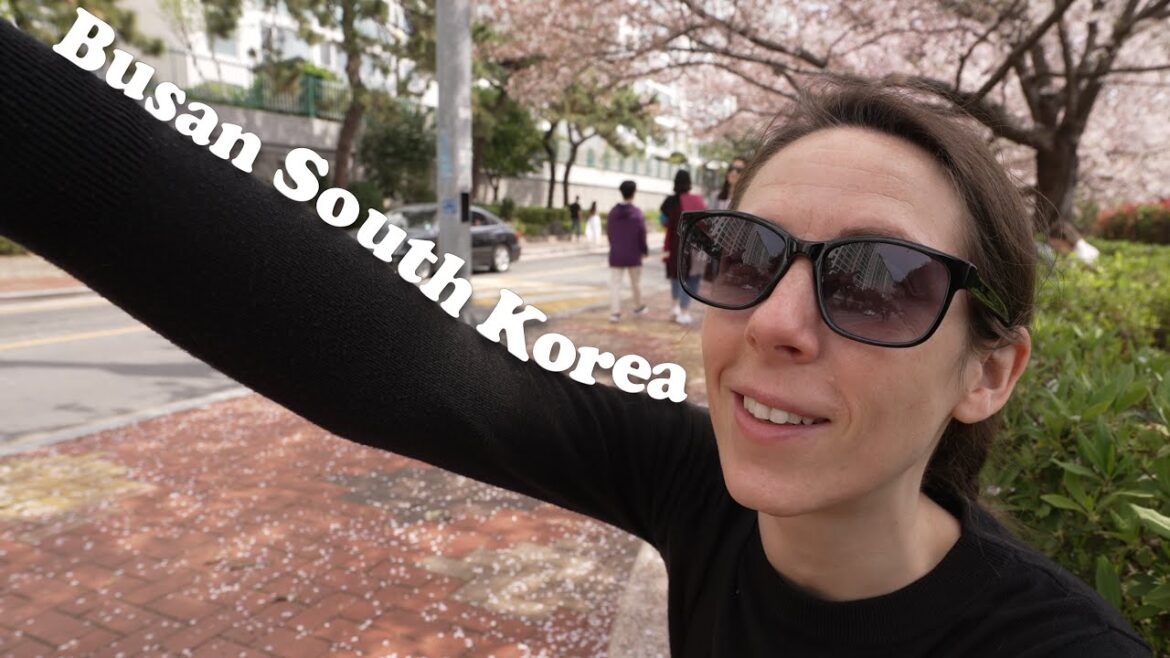 Our Anniversary in Busan, Korea! (plus Eric gets sick & Kyde explores solo) (in Korea!) Our Anniversary in Busan, Korea! (plus Eric gets sick & Kyde explores solo) (in Korea!)