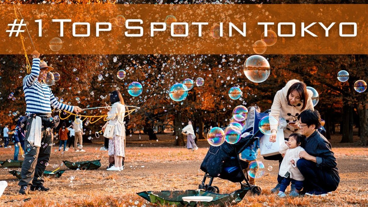 Top 3 Spots to Visit in Tokyo: Fall 2023