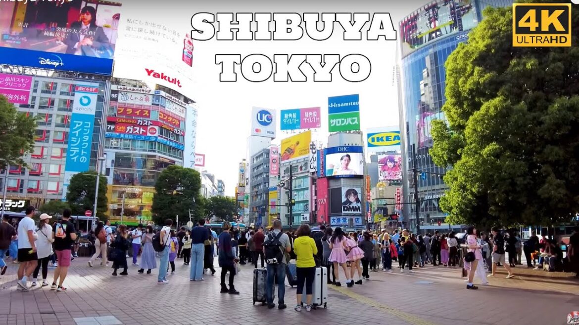 【4K】渋谷東京 Shibuya Tokyo Sunset Walking Tour Street Shopping Food - Japan Walking Tour TOKYO Summer