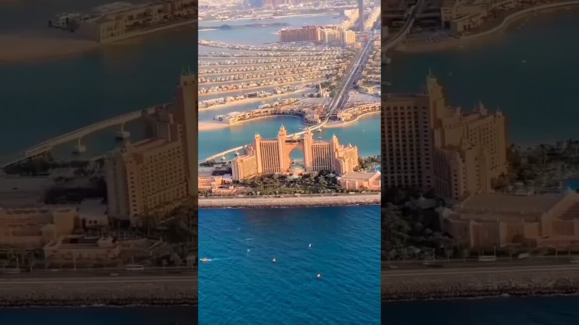 travel vlog Dubai tour #travelvlog #shorts #short #new travel vlog Dubai tour #travelvlog #shorts #short #new