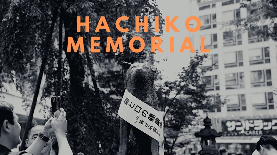 Visiting the Heartwarming Hachiko Memorial: A Tribute to Loyalty