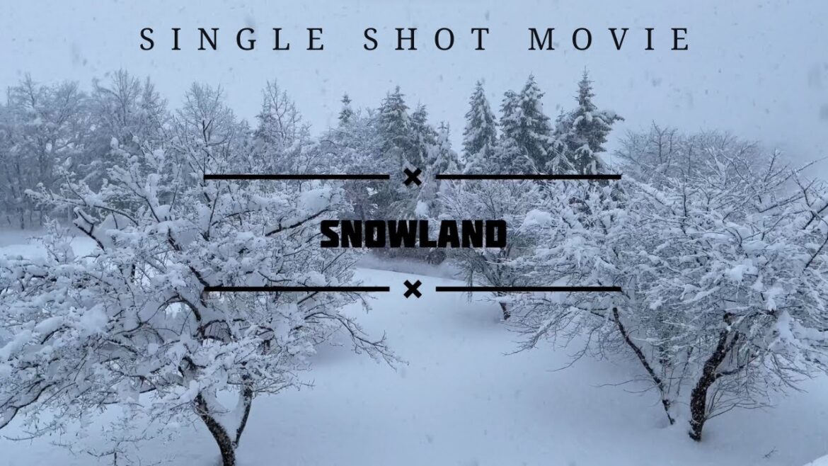 Snowland: Single Shot Movie | IUJ Snowland: Single Shot Movie | IUJ