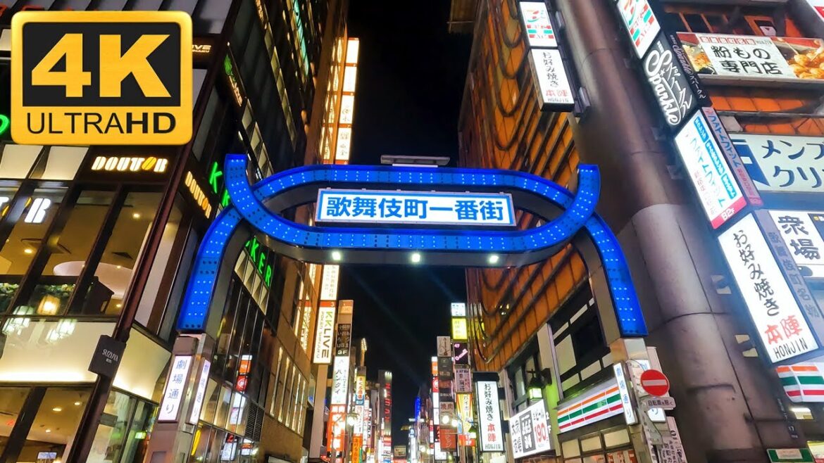 Kabukicho: Tokyo's Entertainment District | Kabukicho Nightlife Walking Tour | Tokyo Night Walk 4k