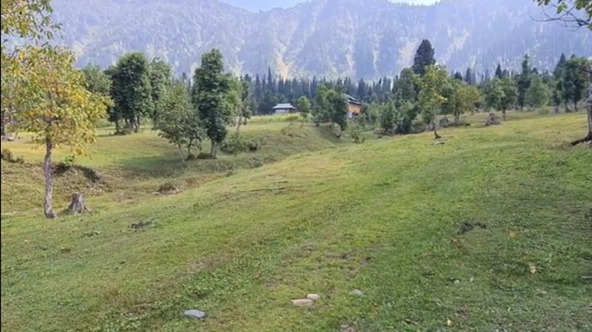 The Heaven On Earth | Arang Kel | Neelum Valley Kashmir #youtube #video #viral #travel #neelumvalley The Heaven On Earth | Arang Kel | Neelum Valley Kashmir #youtube #video #viral #travel #neelumvalley