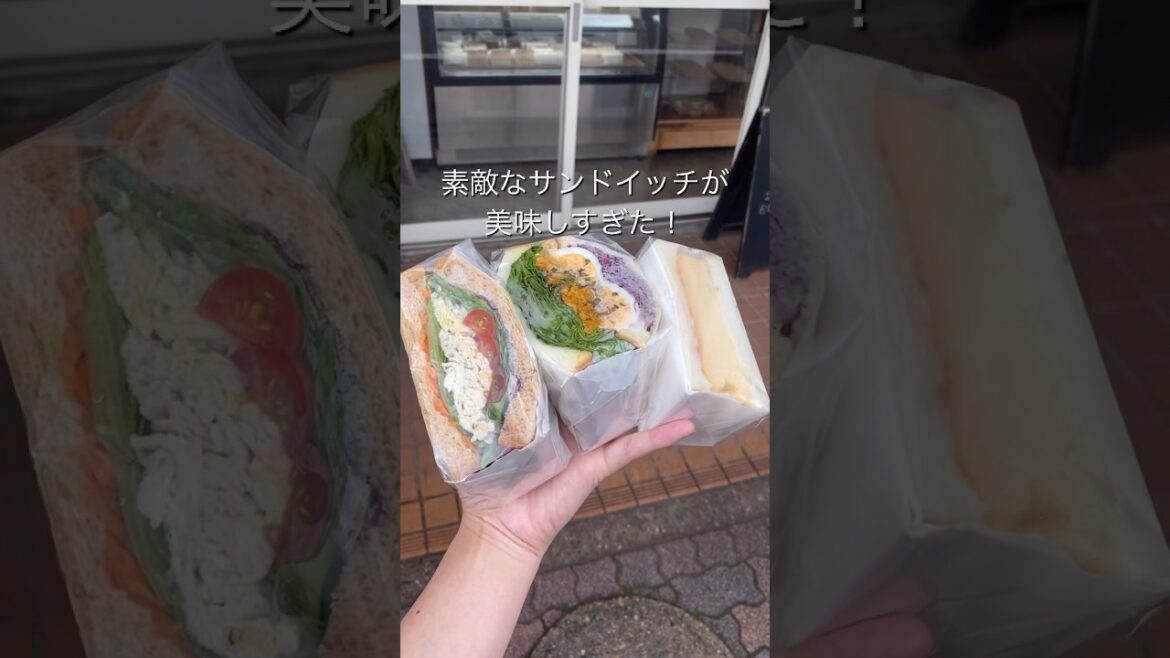 カラフル映え美味しすぎた！#日暮らしサンドウィッチ #travel #japan #chiba #cafe