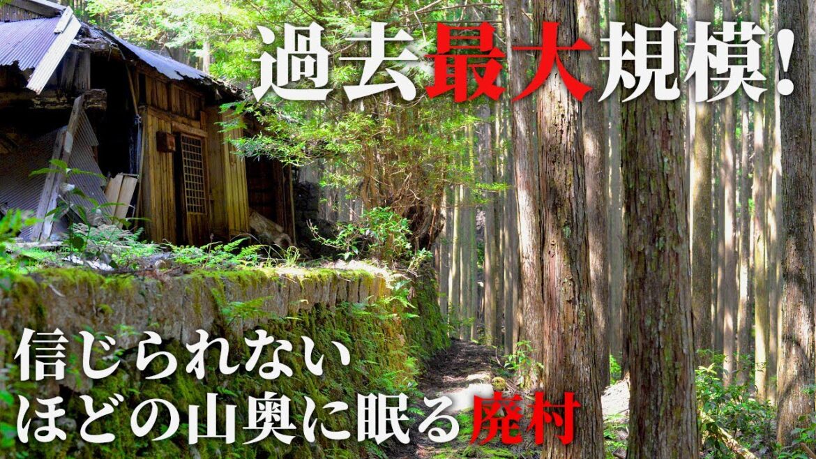 【廃村探訪】俵石集落 – 山の奥深くに眠る壮大な廃村跡を調査 【廃村探訪】俵石集落 - 山の奥深くに眠る壮大な廃村跡を調査