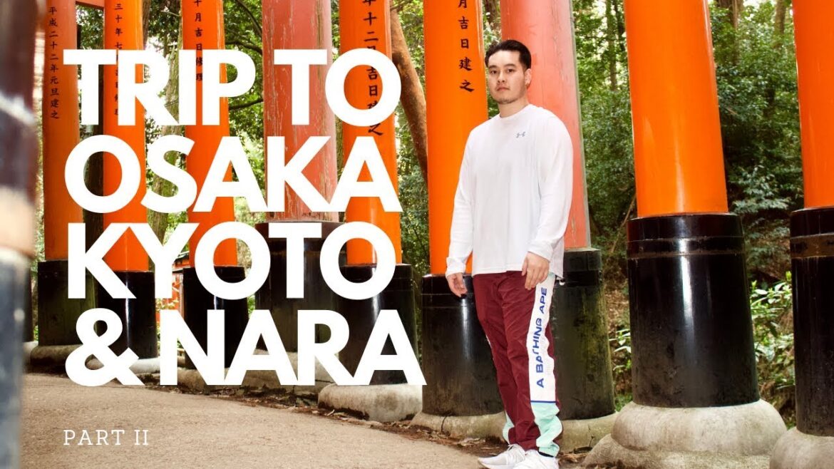 BEAUTIFUL TRIP TO OSAKA, KYOTO AND NARA!!!! JAPAN VLOG PART 2