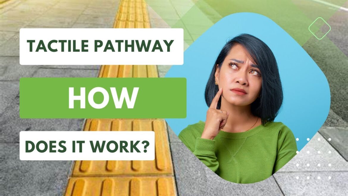 Tactile Pathway क्या होता है? #hindifacts