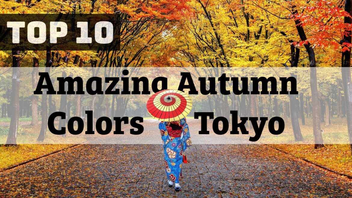 TOP 10 Must-See 2023 Autumn Color Spots in Tokyo TOP 10 Must-See 2023 Autumn Color Spots in Tokyo