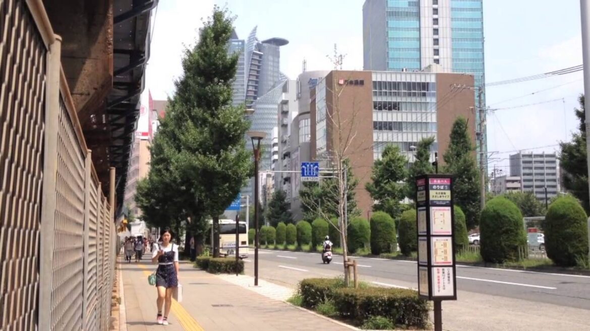 A trip from Okazaki to Tokyo