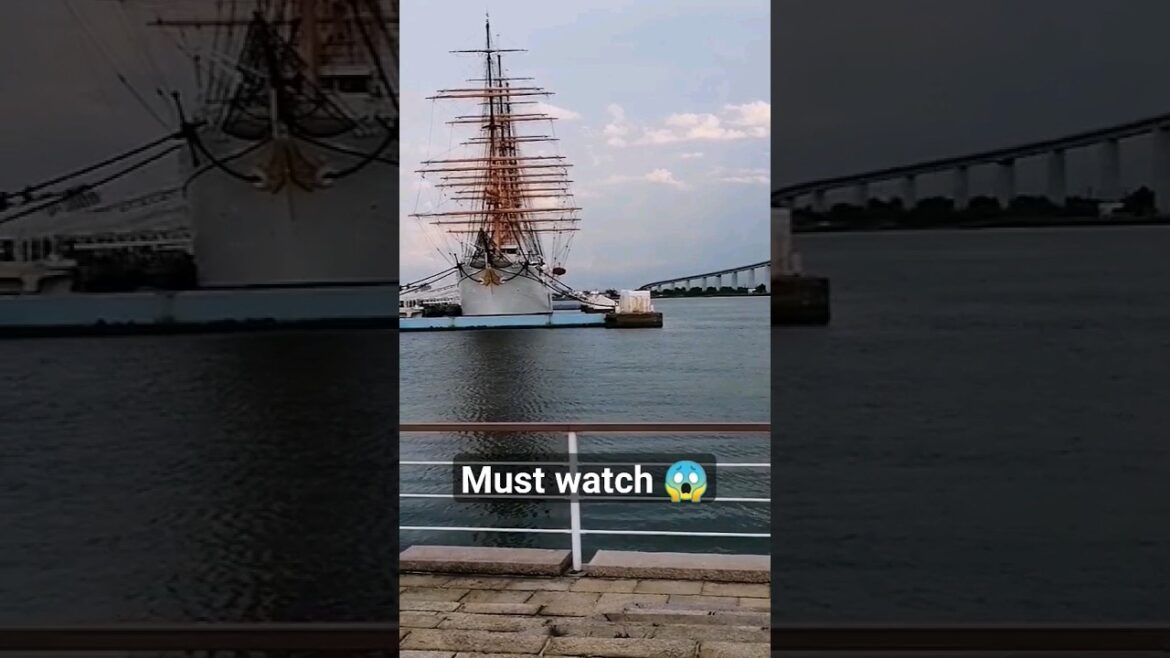 Record holder ship 😍 japan 🇯🇵 world tour completed #shortsvideo