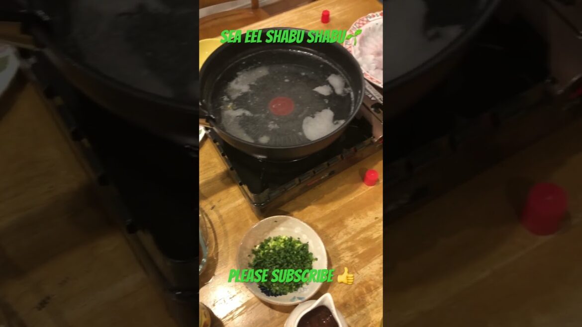 【KYOTO】Sea Eel Shabu Shabu with pork #shorts #pleasesubscribe #travel #food #vlog #blog #comida