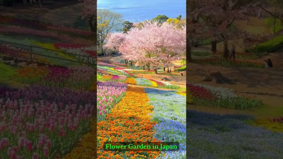 Hinoyama Koen Park, Japan | Amazing Travel Destinations #travel #travelvlog #japan #flowers #garden