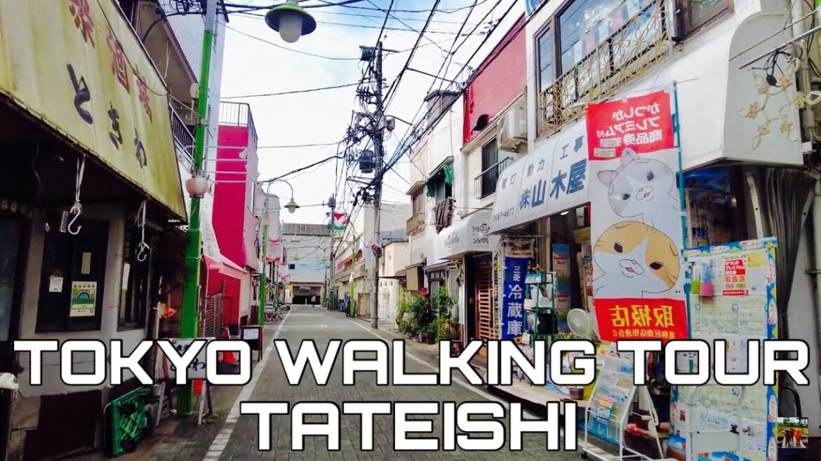 【🇯🇵4K】Walking around Tateisi station (京成立石駅), Katsuhika ward, Tokyo