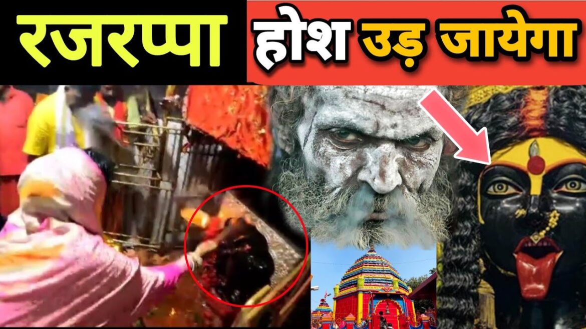 Rajrappa मंदिर के गर्भ गृह में मां छिन्मस्तिका का दर्शन|देश का दूसरा सबसे बड़ा शक्तिपीठ।रामगढ़1/1/23 Rajrappa मंदिर के गर्भ गृह में मां छिन्मस्तिका का दर्शन|देश का दूसरा सबसे बड़ा शक्तिपीठ।रामगढ़1/1/23