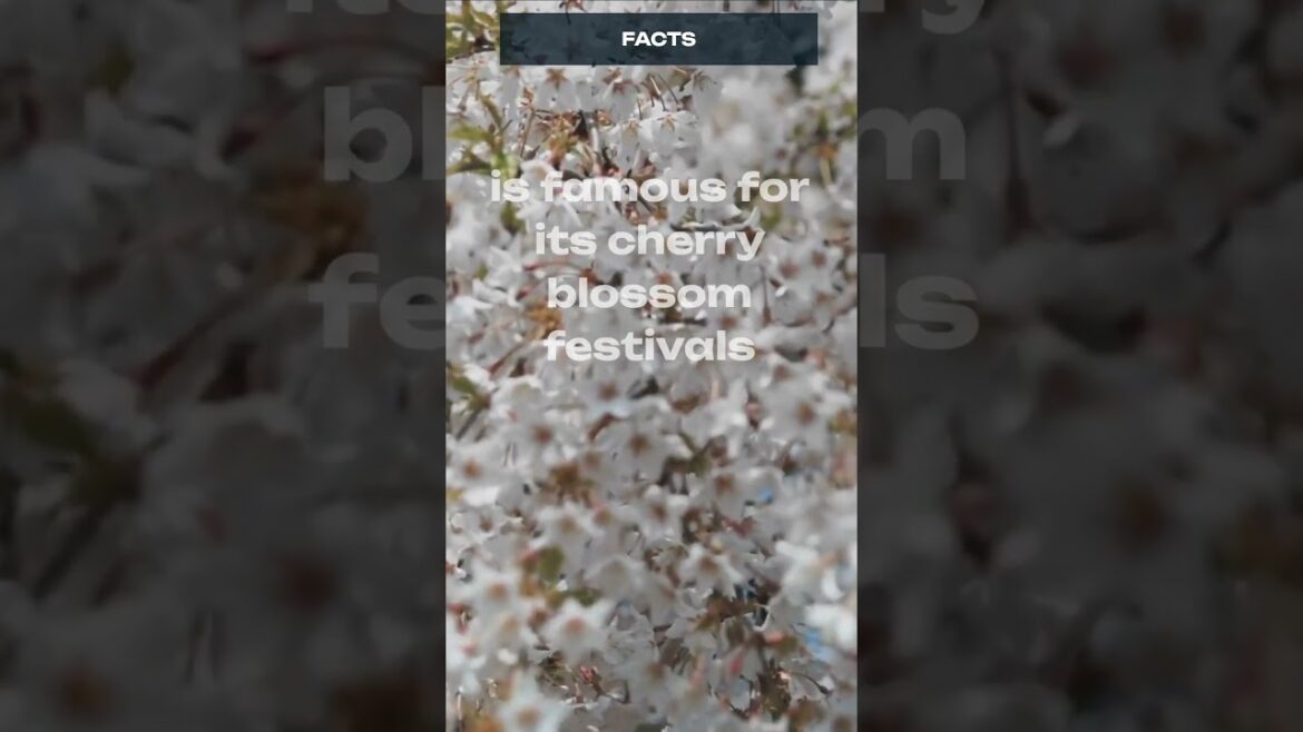 The city of Kyoto #facts #travel #shorts