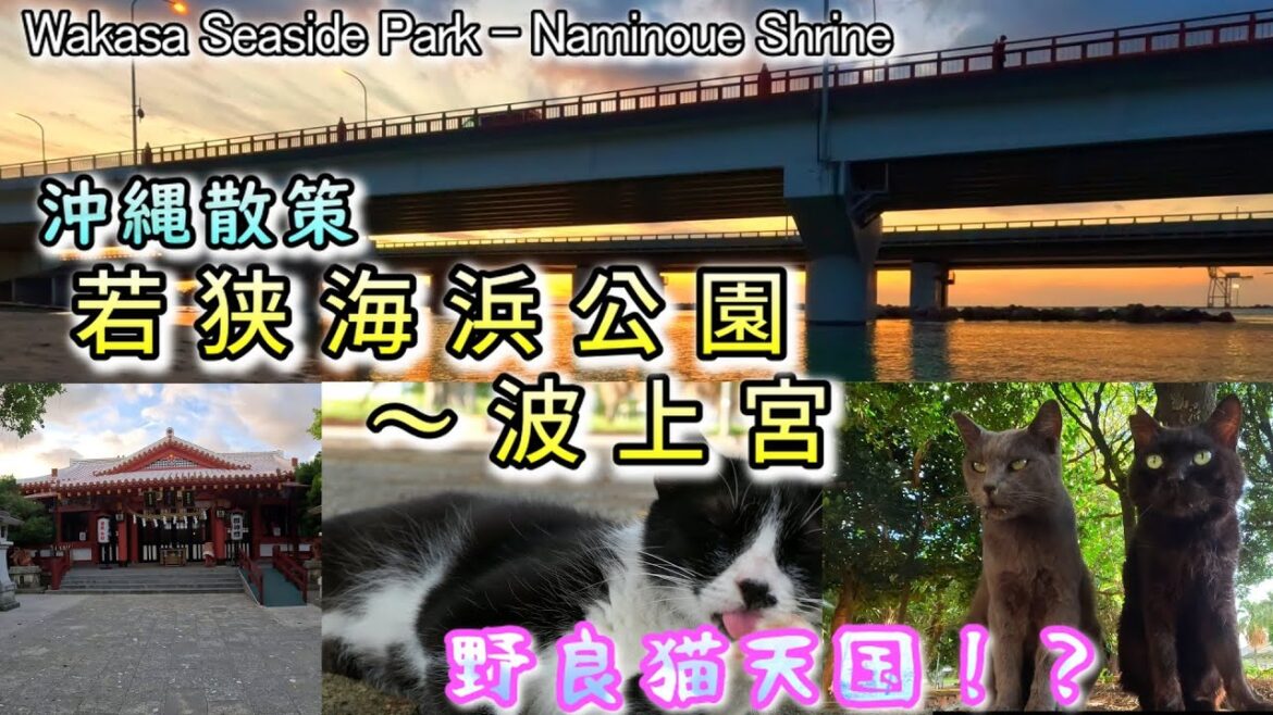【若狭海浜公園～波上宮散策】沖縄パワースポット散策！野良猫さんとの出会いも！