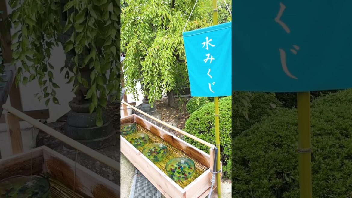 [福岡] 地元 太宰府天満宮 散策♪ #ショート