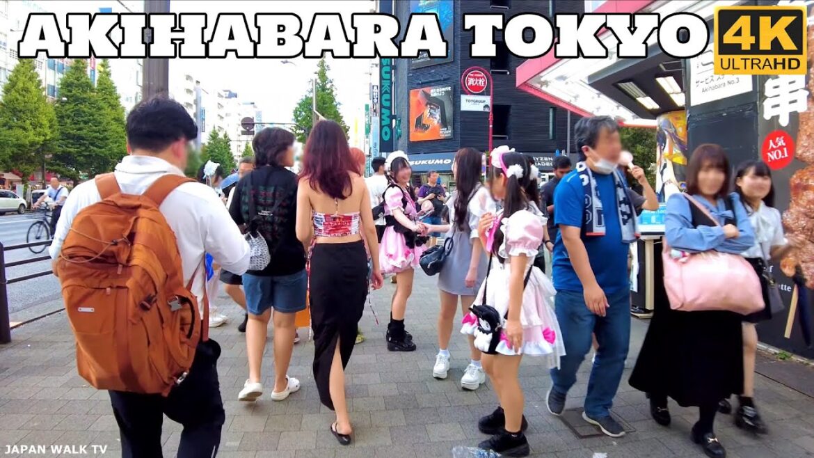 【4K】秋葉東京 Akihabara in Tokyo Sunset Walking Tour Street People Shopping Food - TOKYO Summer Walk 2023
