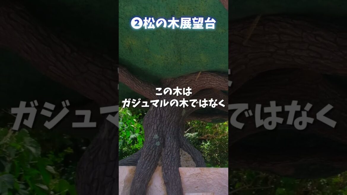 宮古島🌺あなたは知ってる?絶景穴場スポット5選 #shorts #宮古島 #離島 #miyakojima #宮古島旅行 #宮古島観光 宮古島🌺あなたは知ってる?絶景穴場スポット5選 #shorts #宮古島 #離島 #miyakojima #宮古島旅行 #宮古島観光