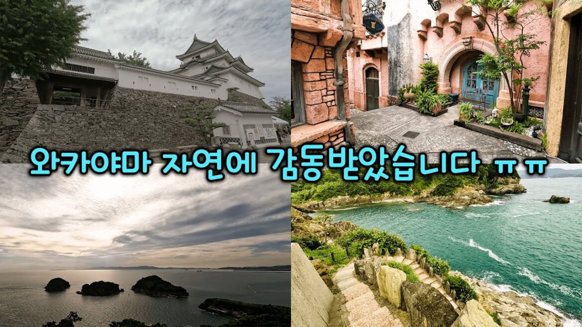 와카야마 자연에 감동란  - 🇯🇵일본전국여행#23[일본여행 - 와카야마]