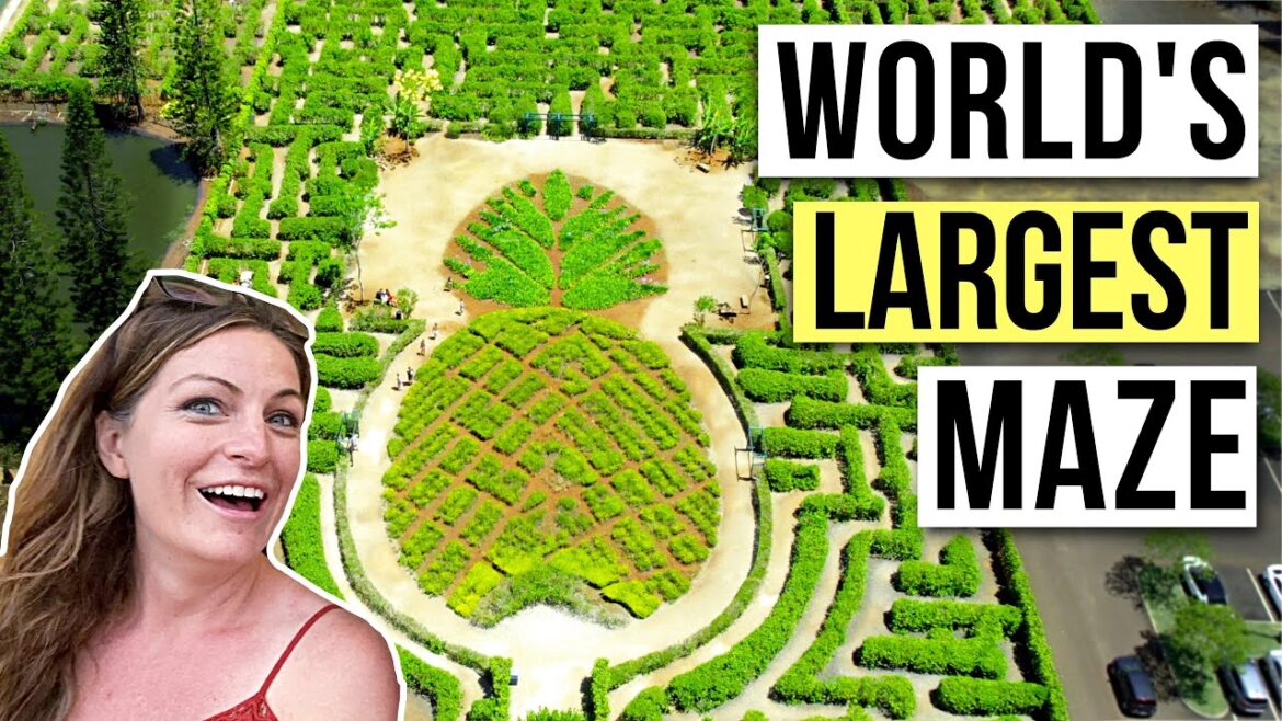 2 THINGS YOU MUST DO ON OAHU, HAWAII