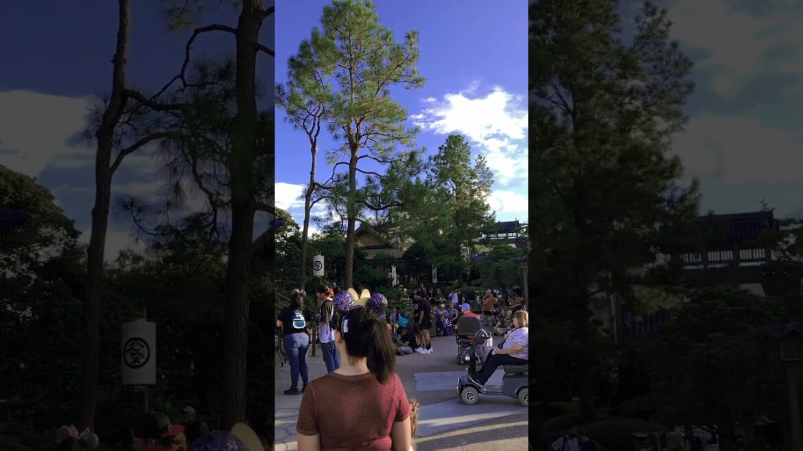 Disney World’s EPCOT Taiko Drummers - World Showcase Japan #disney #epcot #japan