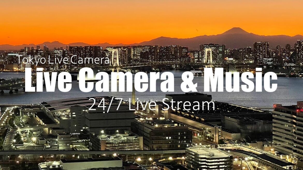 【Live cam/Relaxing music】東京豊洲ライブカメラ レインボーブリッジ＆富士山＆豊洲市場 TOKYO LIVECAM Mt.FUJI&TOYOSU Market