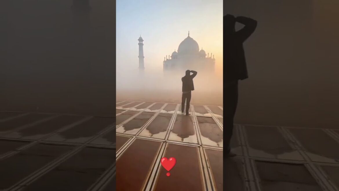 The magnificent Taj mahal #maginificentindia #bharat #tour #bhartiyatourism #explore #love The magnificent Taj mahal #maginificentindia #bharat #tour #bhartiyatourism #explore #love
