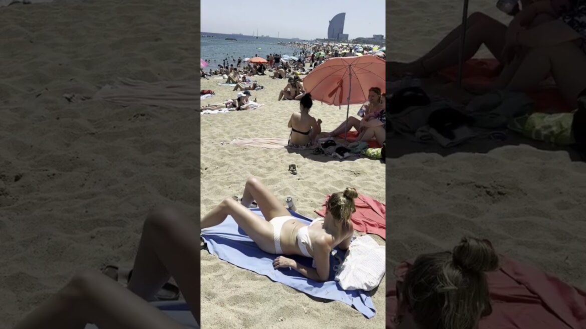 🇪🇸 Sunny day at Barcelona beach