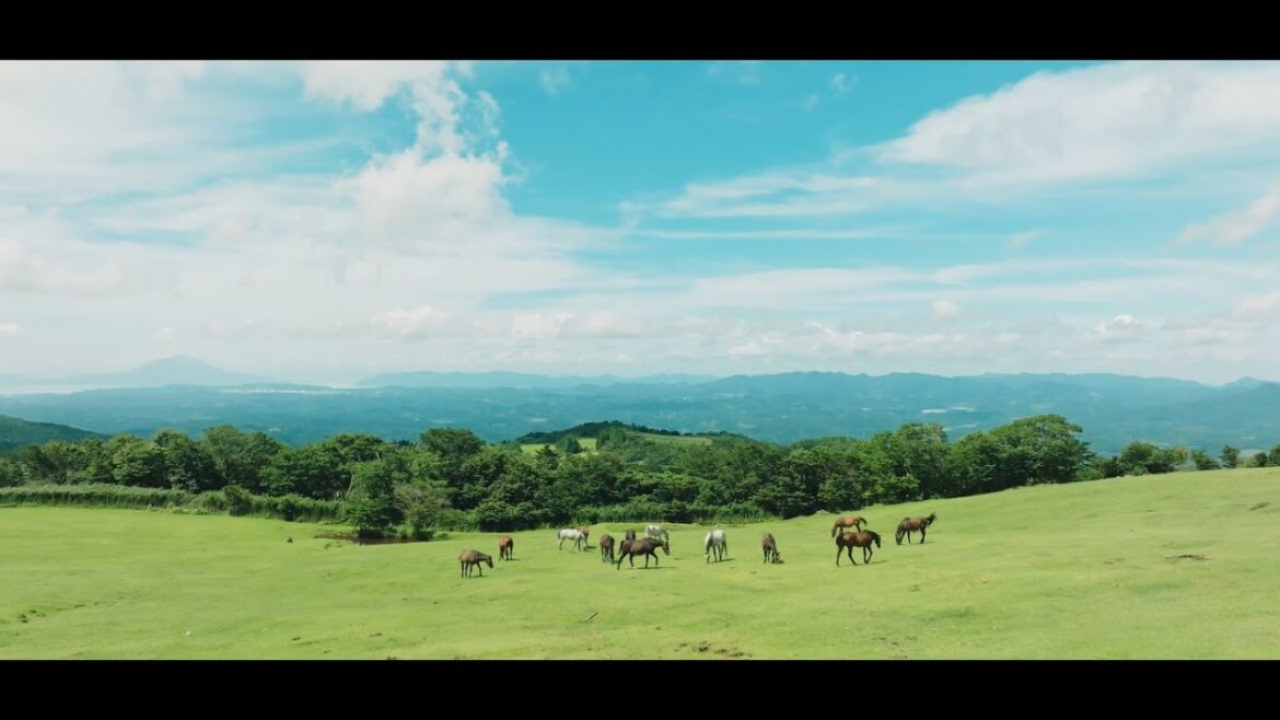 2023 Re-Wild Kagoshima, JAPAN
