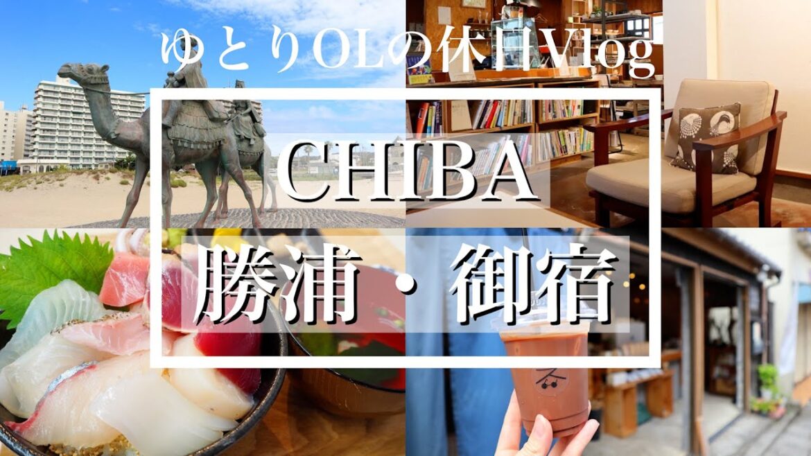 【千葉Vlog / 勝浦・御宿】夏の房総半島へ行く、海鮮から始まる食の旅!千葉には砂漠もあった!? 【千葉Vlog / 勝浦・御宿】夏の房総半島へ行く、海鮮から始まる食の旅!千葉には砂漠もあった!?
