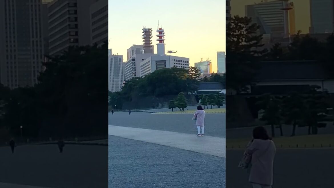 Japanese Military Helicopter #japantravel Japanese Military Helicopter #japantravel